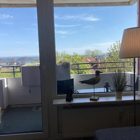 Berolina-316-moewennest *